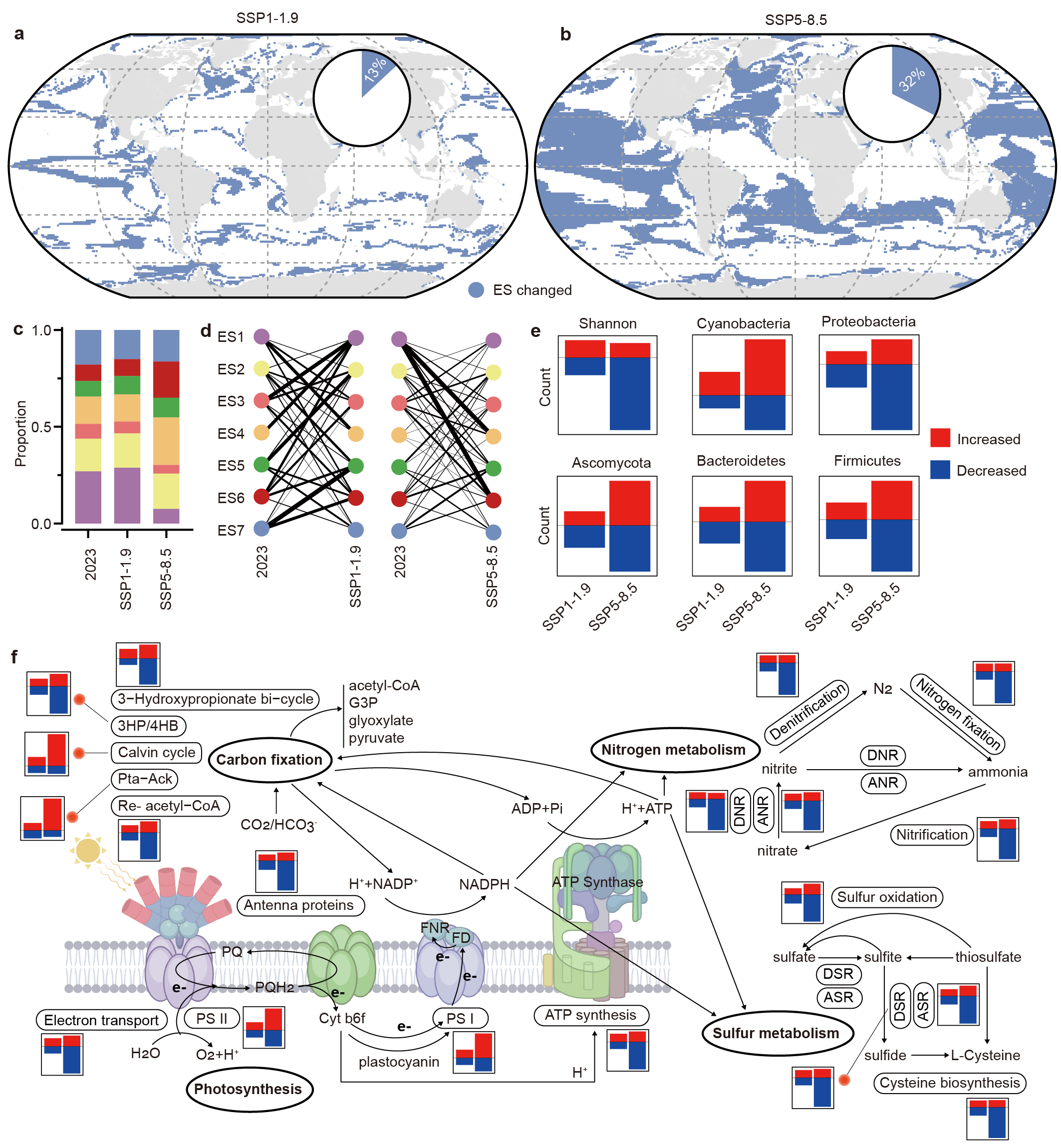 Changes in the ecological status and detailed biogeographic profiles of ocean microbial communities in 2100 compared to those in 2023 under different climate change scenarios