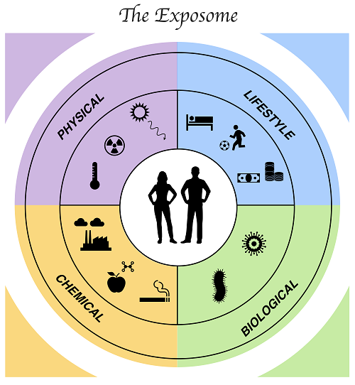 Diagrammatic representation of the Exposome concept