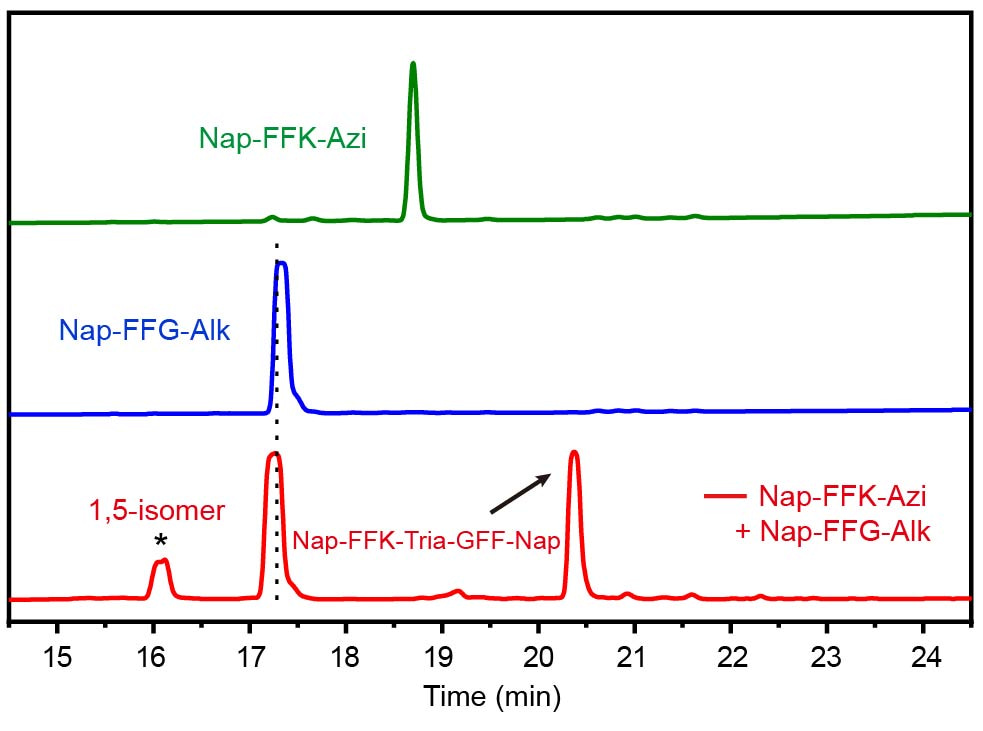 Fig. 2 Cooper-catalyzed azide-alkyne cycloaddition (CuAAC) between NapHPLC traces of Nap-FFK-Azi (green), Nap-FFG-Alk (blue), and the CuAAC reaction mixture in a (red). Wavelength for detection: 254 nm.