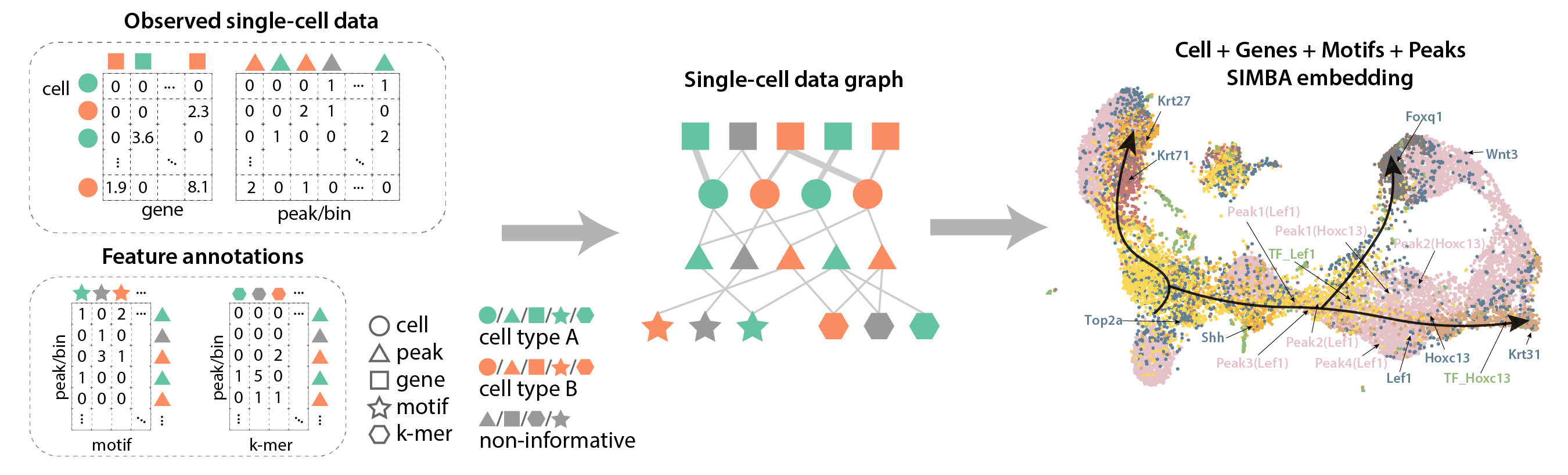 Single-cell graph construction by SIMBA and resulting shared embedding of cells and features