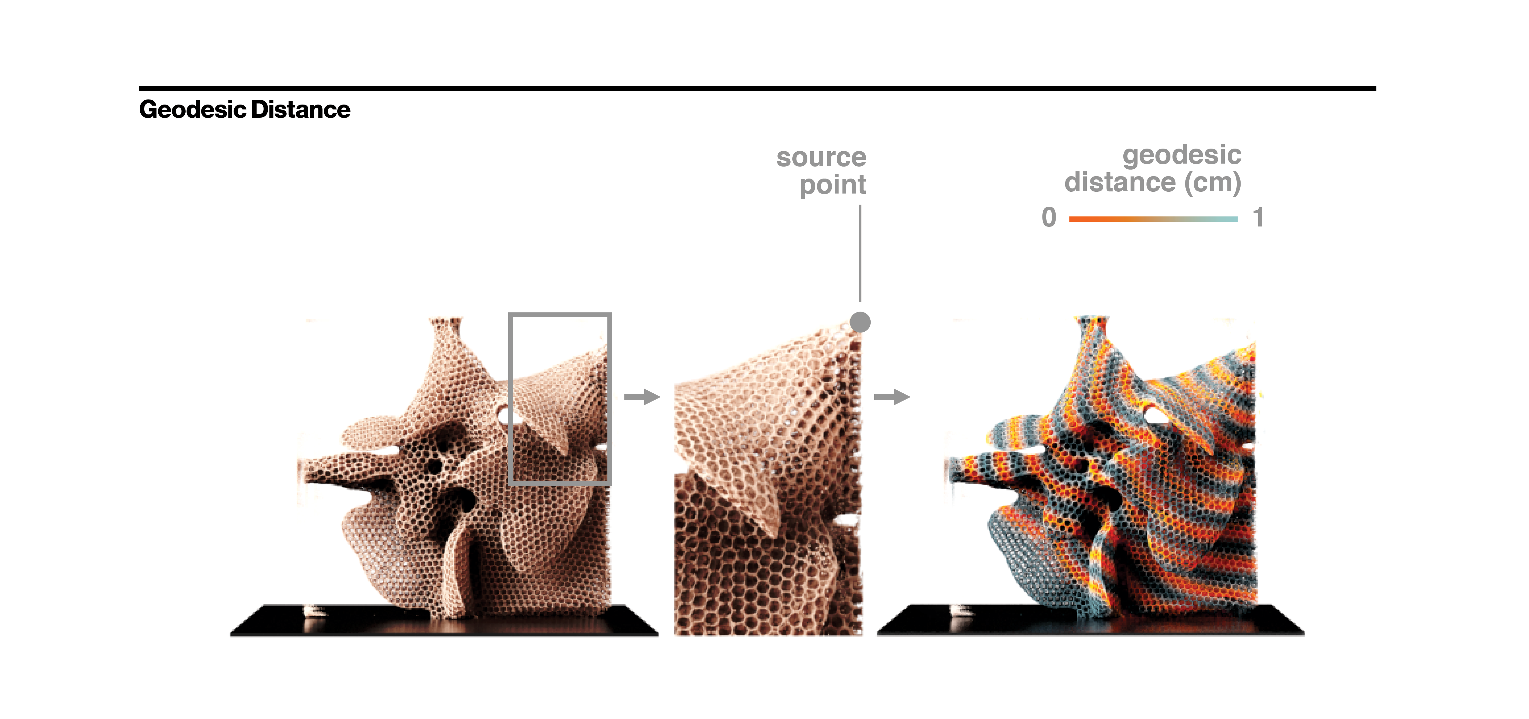 Geodesic Distance Geodesic distance describes the shortest path that a bee can take to travel between two points on the comb.