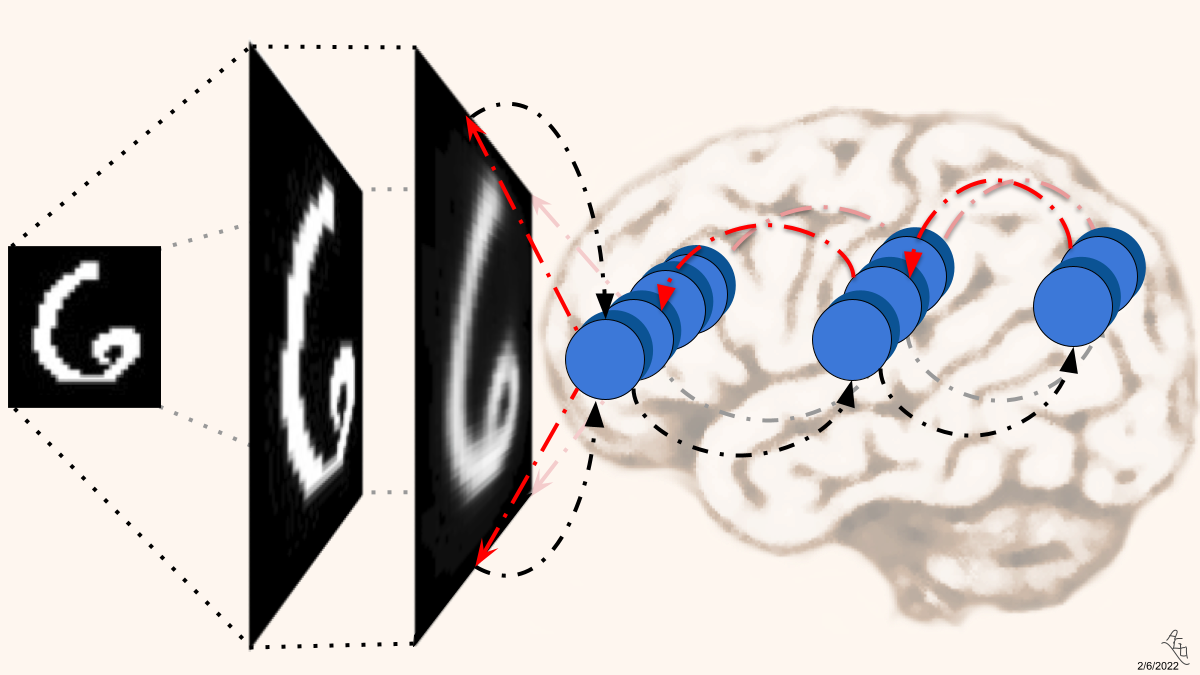 A neural generative coding circuit processing a pixel-image of the digit six.