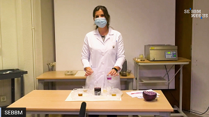 Video screengrab of a SEBBM Lombard cabbage pH indicator workshop