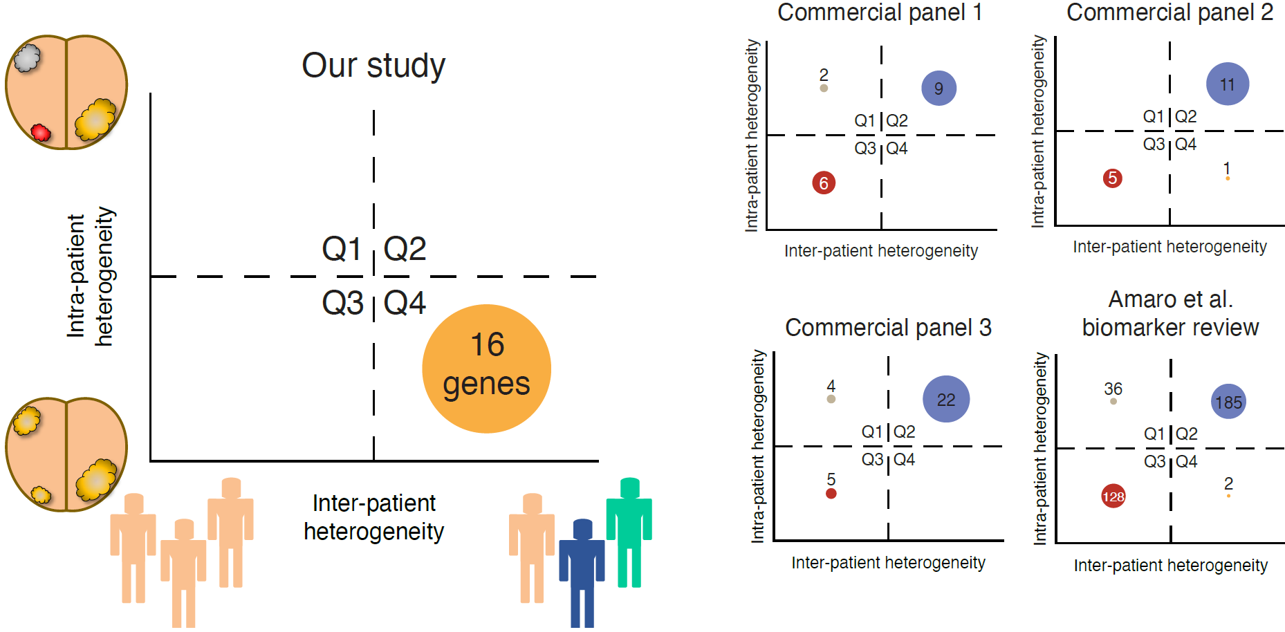Heterogeneity quadrants for the 16 genes identified in this study, and other selected gene panels.