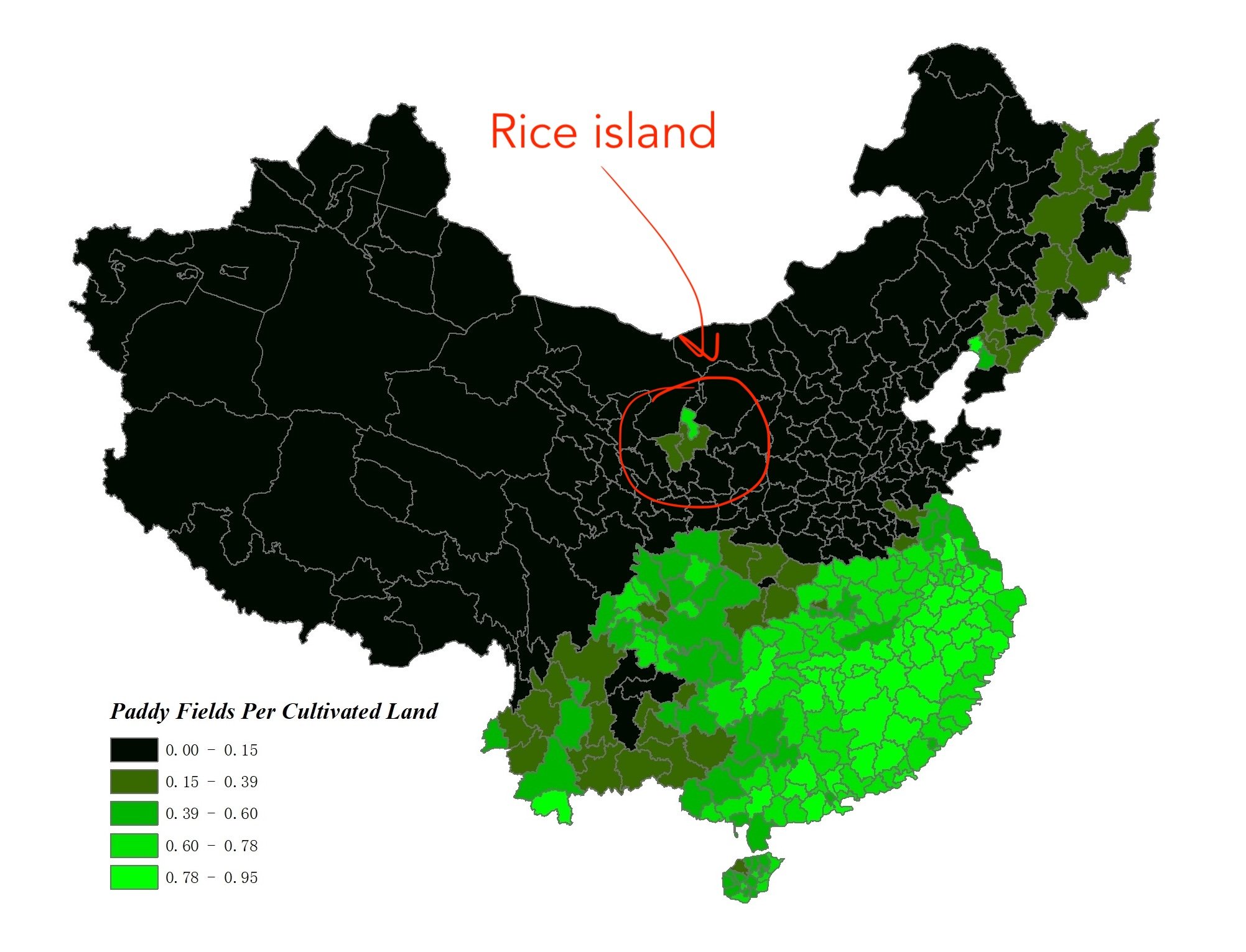 Rice farming by prefecture across China shows an isolated pocket of rice farming in northwest China