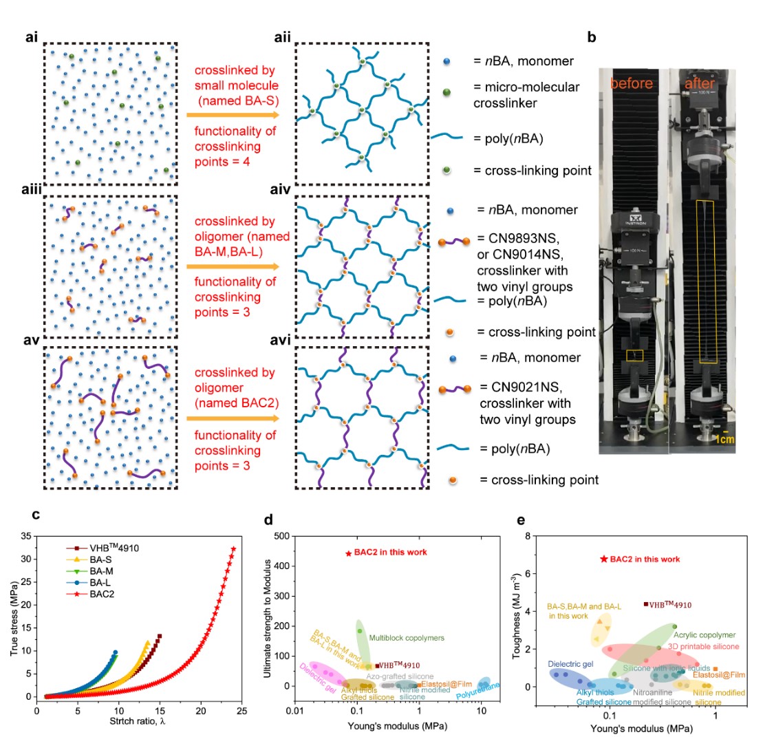 Figure 1 Performance of uniform hybrid polymer network.