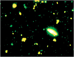 Figure 1 Occurrence of microbes and viruses in seawater, observed using epifluorescence microscopy. Image source: Suttle (2007) Nat Rev Microbiol 5, 801-812; https://doi.org/10.1038/nrmicro1750.
