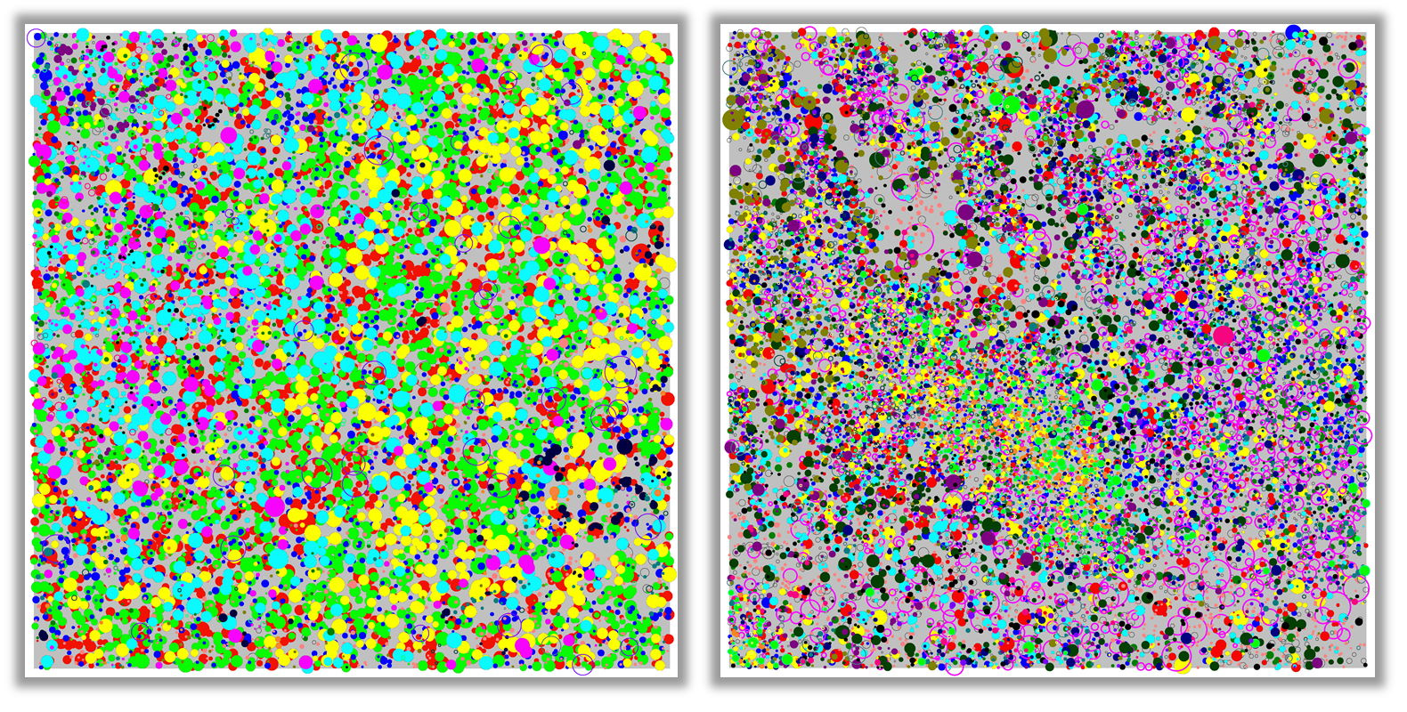 Spatial patterns of trees at the Changbaishan and Fushan forests