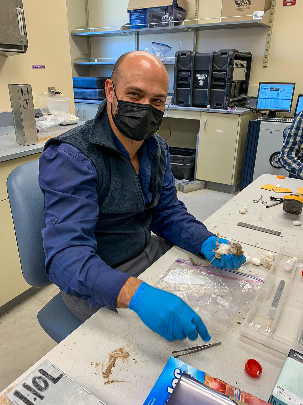 New Mexico, USA research