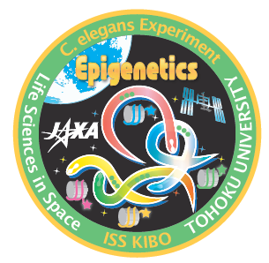 “EPIGENETICS” decal designed by JAXA and the experimental team.