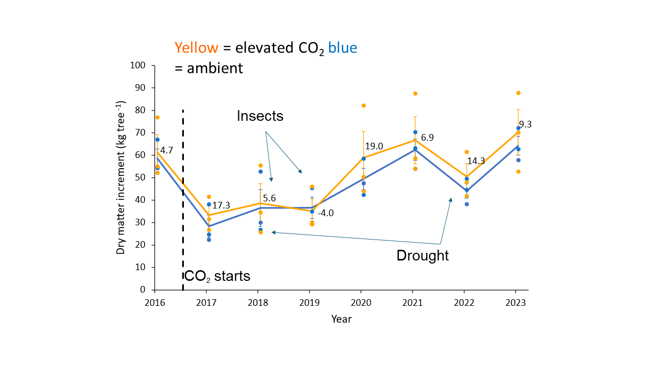 Dry matter increment for BIFoR FACE - annotated