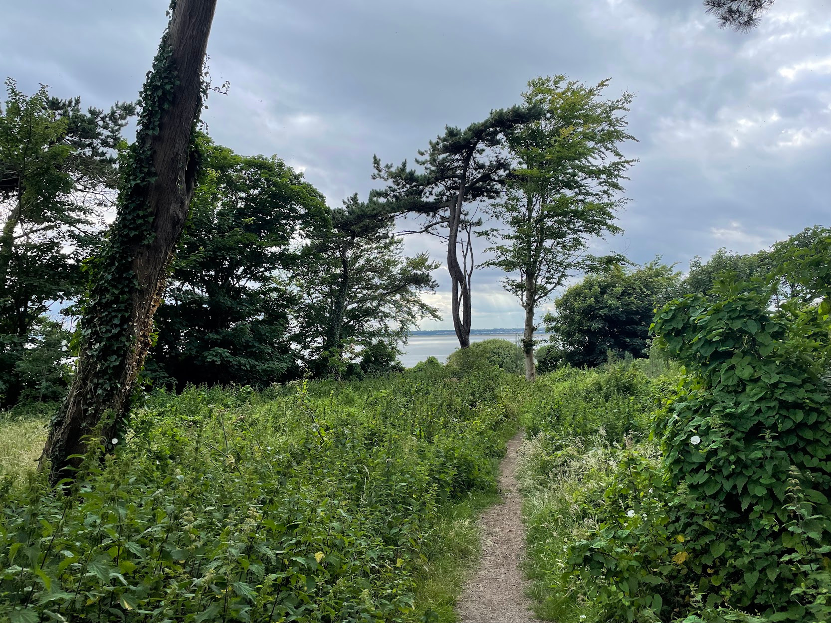 A view off of the southern edge of Howth Peninsula, taken as part of my research project