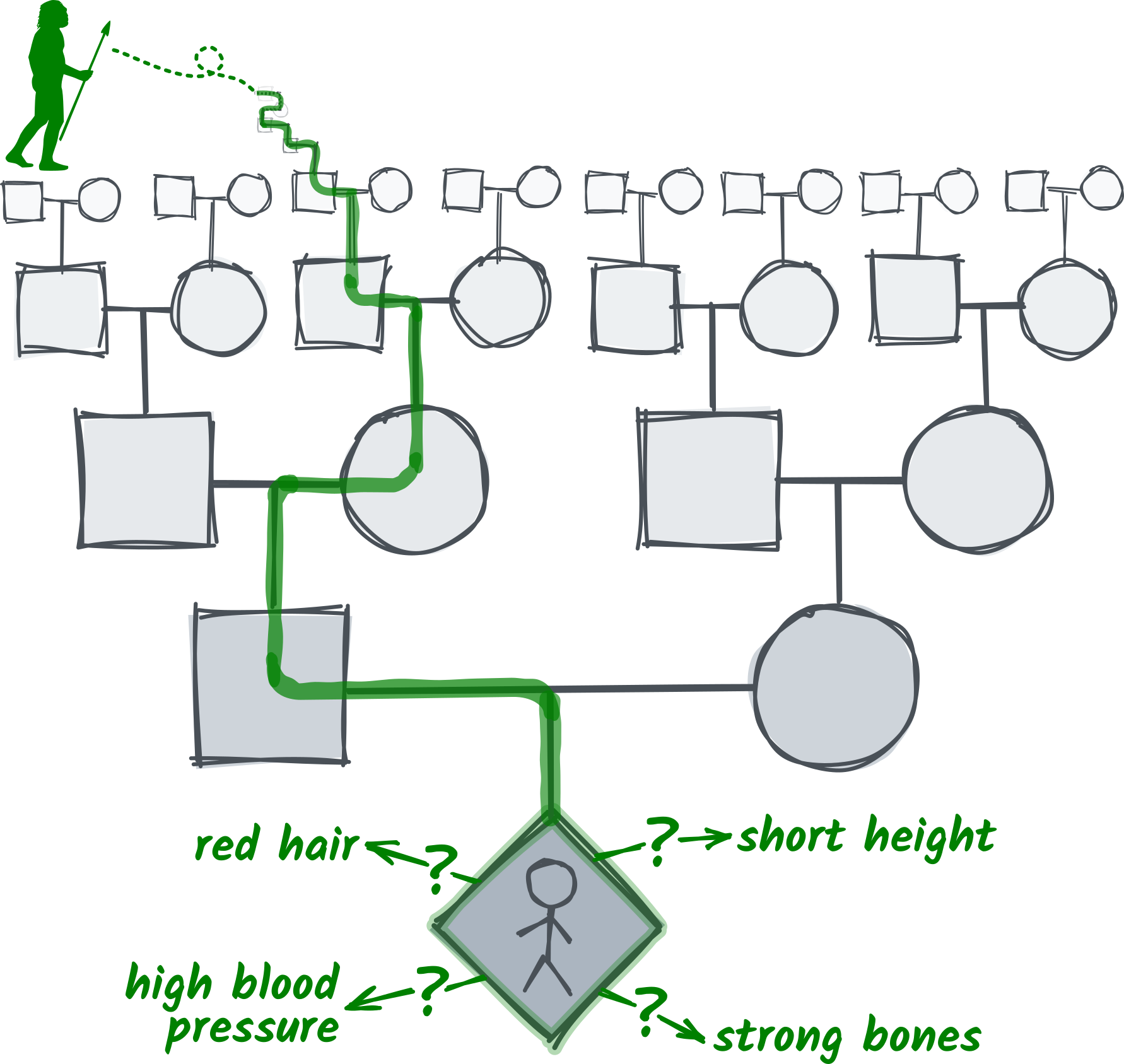 Neanderthal on family tree