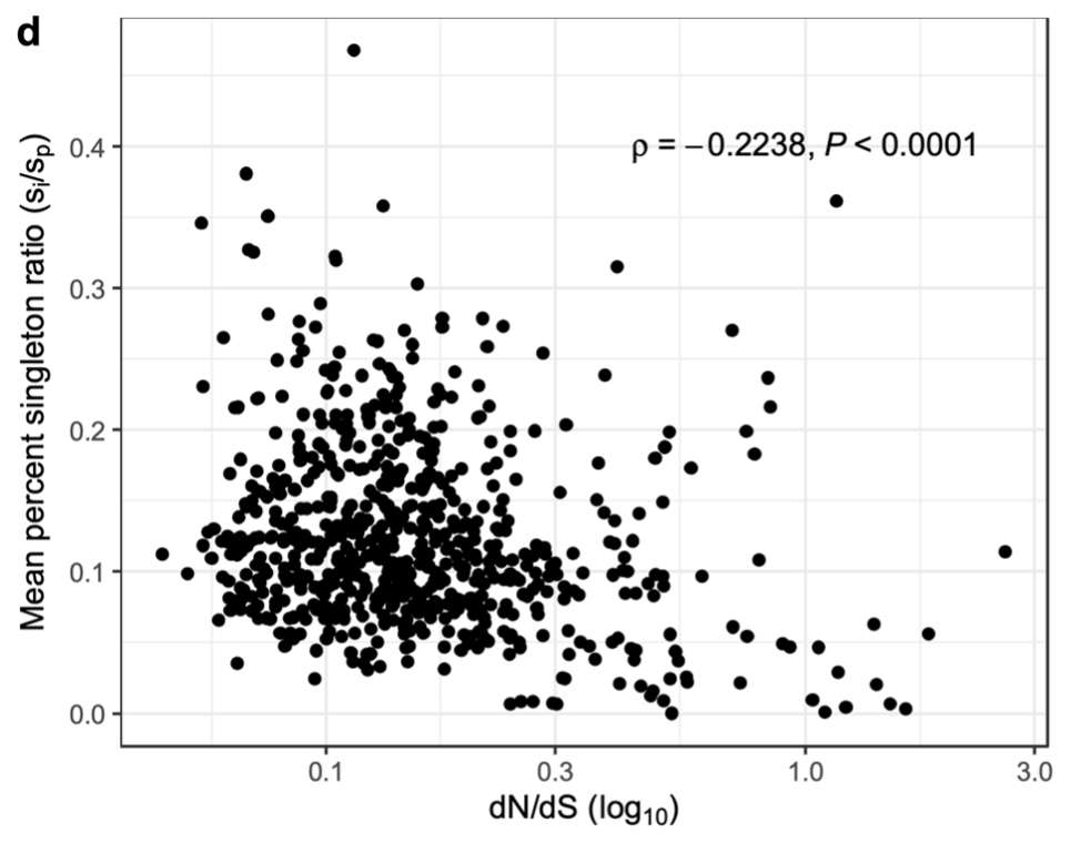 Here, dN/dS is used as a metric of the efficacy of selection, with lower dN/dS ratios indicating more effective selection. That higher si/sp ratios tend to be observed at lower dN/dS ratios across hundreds of prokaryotic species suggests that rare intact genes tend to be retained by natural selection. Originally Figure 4d in our bioRxiv preprint.