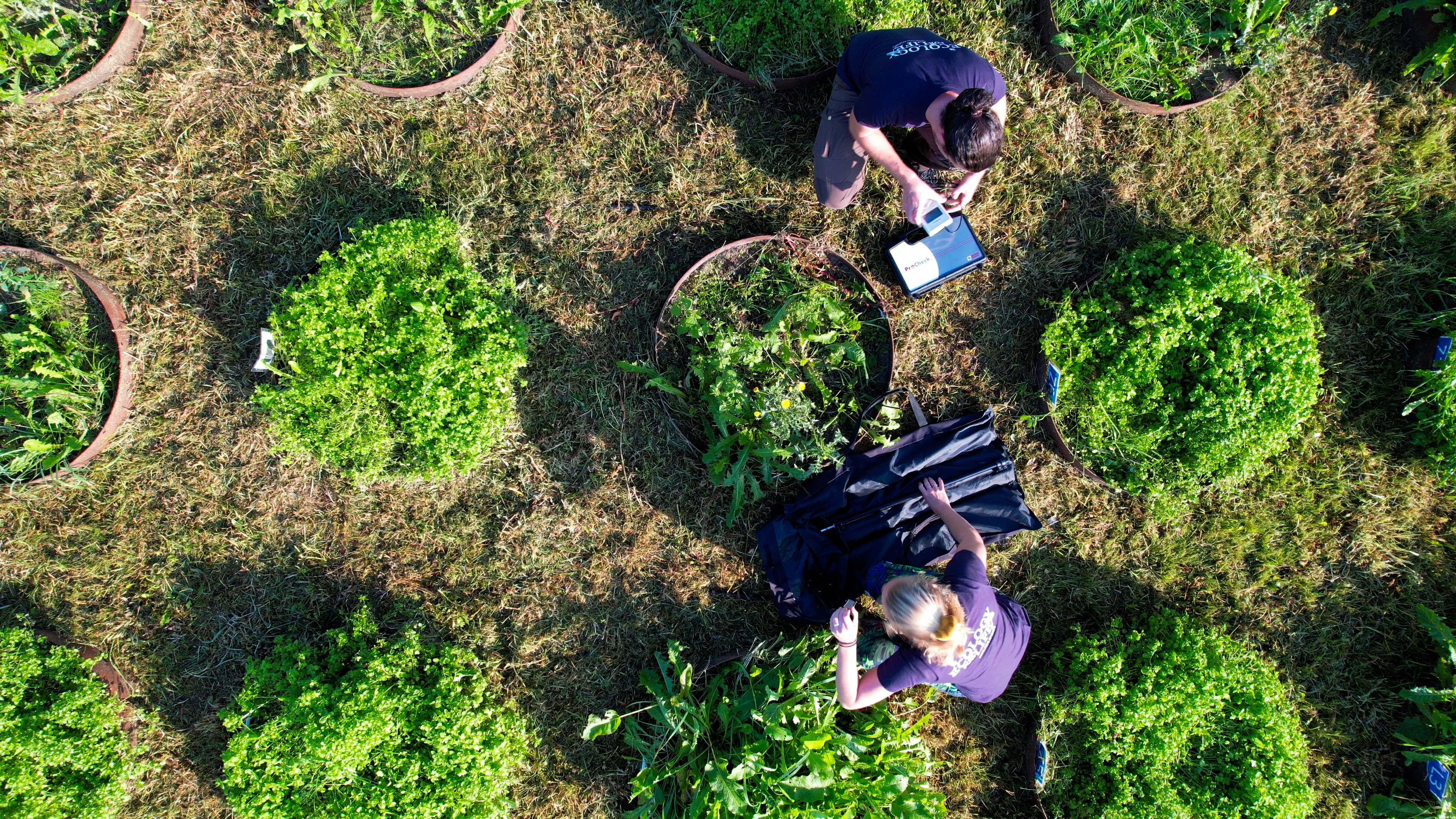 A drone shot of the Soil-tron at The Netherlands Institute of Ecology