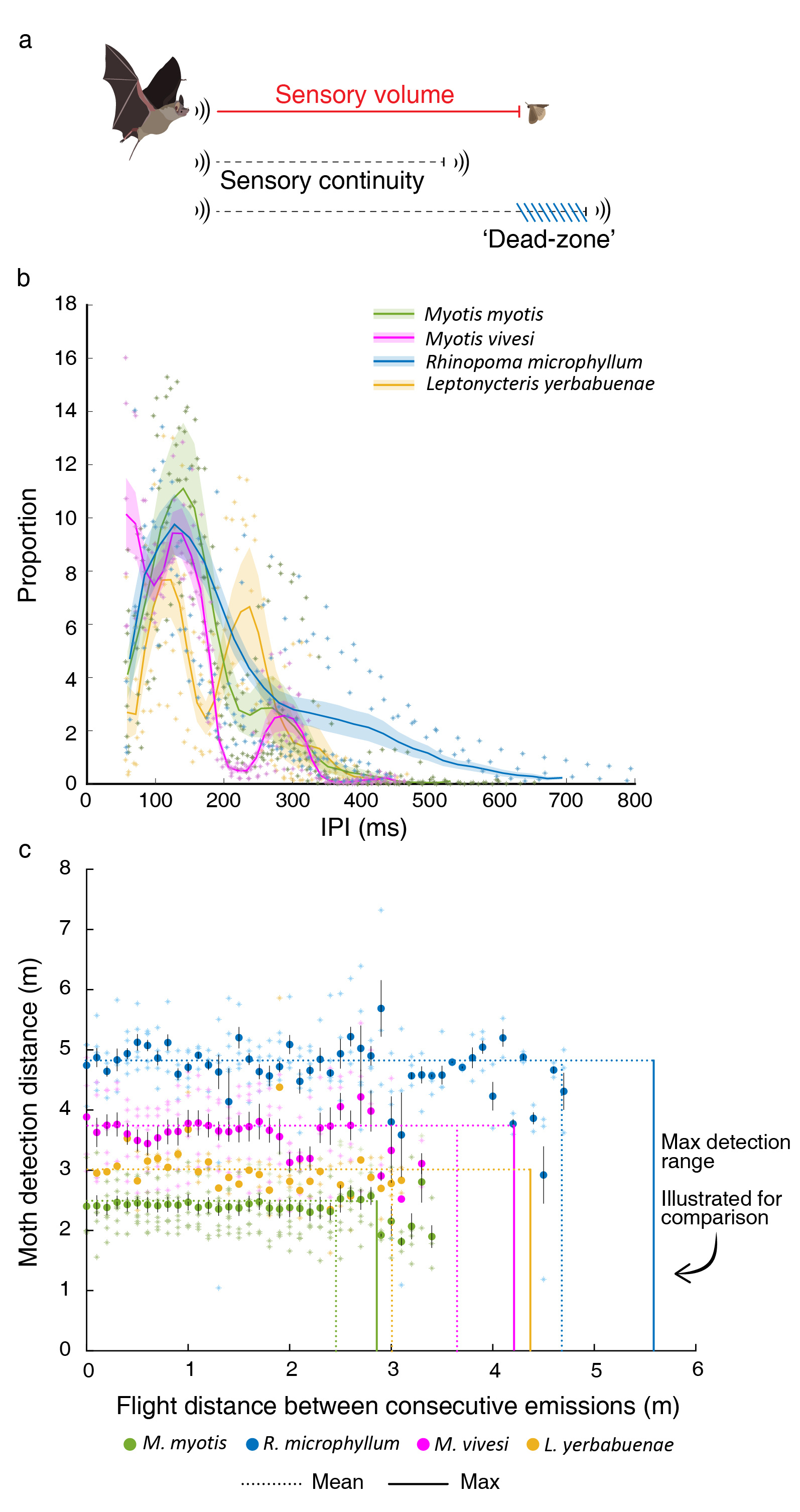 Figure 2: Sensing vs. movement (a) Theoretical relationship between the maximum distance in which a bat can detect a moth (sensory volume) and the distance the bat travels between consecutive signals (flight distance). (b) IPI distribution. Lines represent the mean for all conspecifics and shaded areas represent the SE. Asterisks represent the individual data points for each species. N=25 bats from all four species in total (c) Moth detection distance (i.e., the 1-Dimensional equivalent of the sensory volume) compared to the flight distance between consecutive emissions of the four bat species. Circles represent the average detection distance for different flight distances based on the actual signal parameters and the flight speed and IPI. Asterisks represent the individual data points for each species. Error bars depict the SE. N=22 bats from all four species in total. Vertical lines show the mean (dotted line) and maximal (solid line) moth detection range for each species. Note that these lines represent values on the Y-axis, but are presented vertically to ease the comparison with the flight distance. These lines reveal that except for M. myotis the bats never fly between consecutive signals farther than the detection range thus maintaining sensing continuity for detecting a moth.
