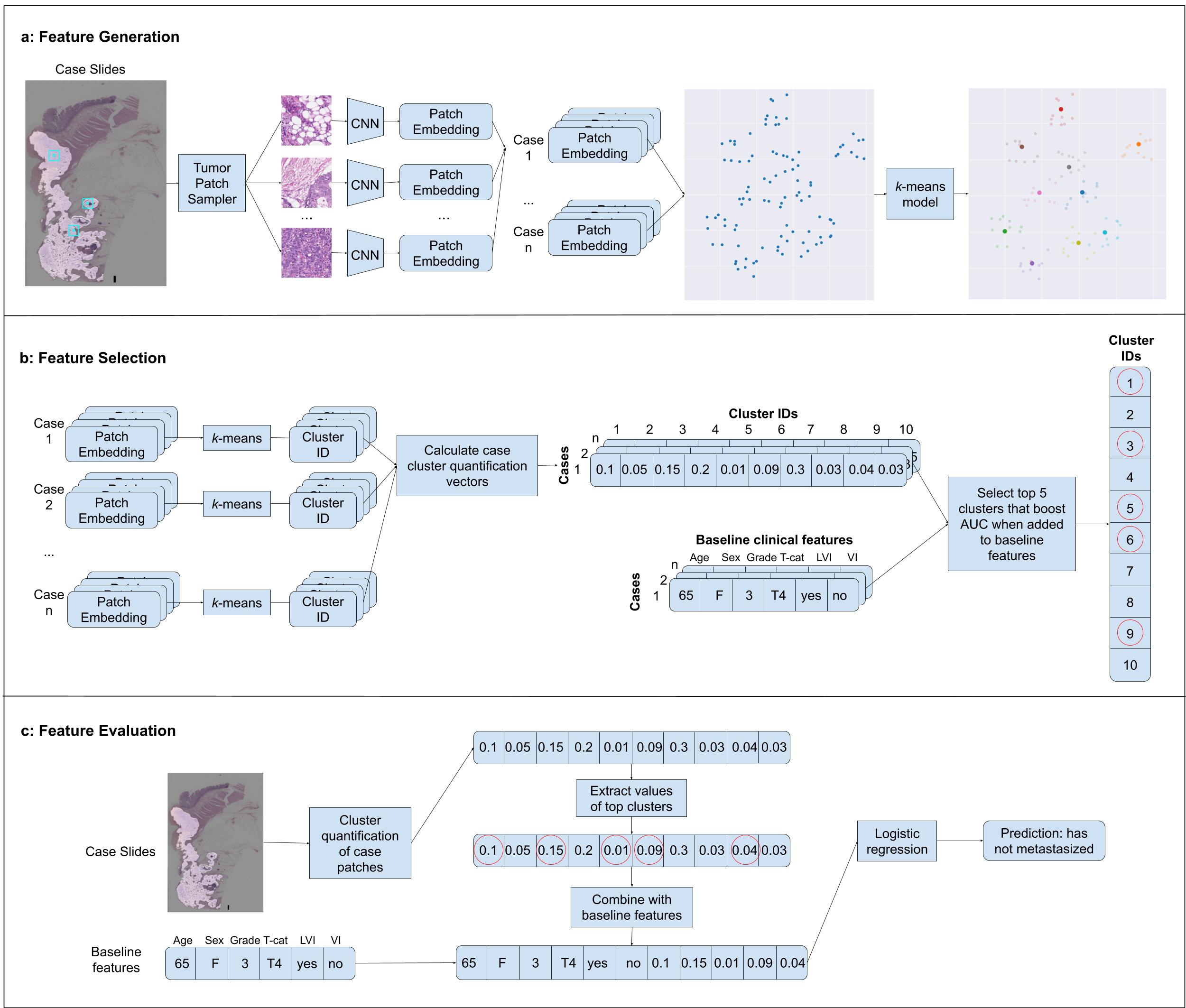 Overview of the development of our machine learning model