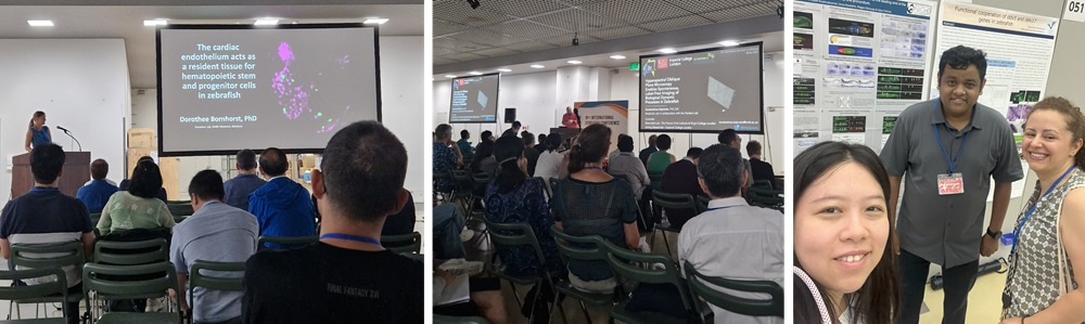 Three photos next to each other, two of talk sessions and one to the right of the poster session.