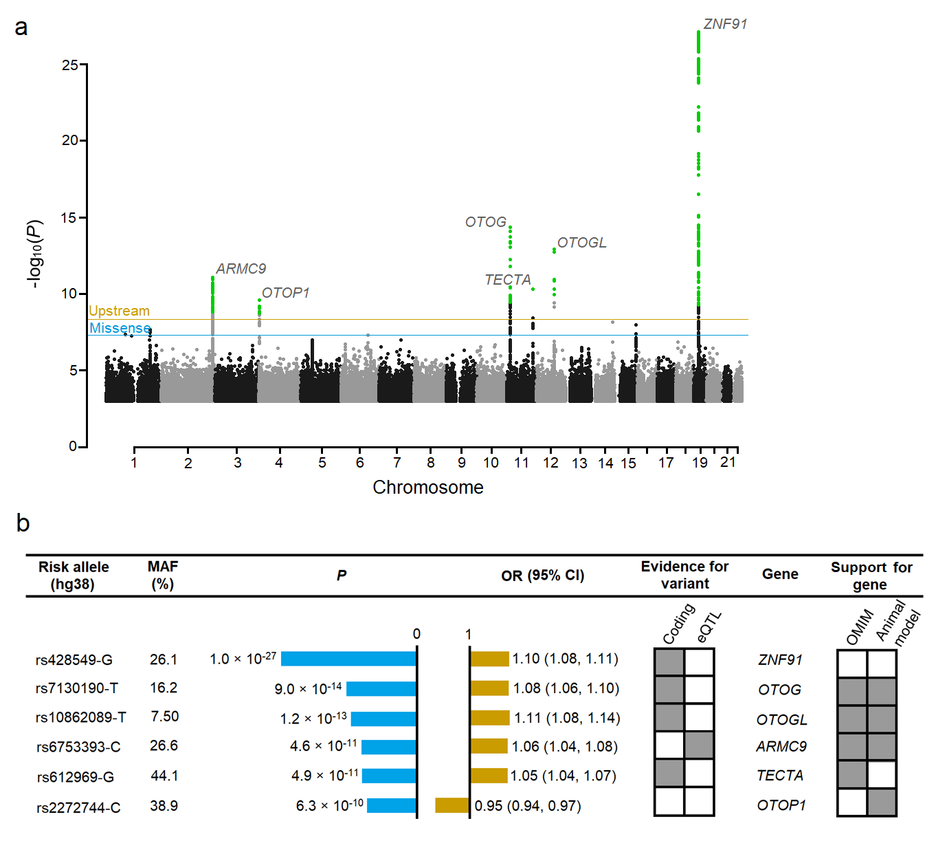 Figure 1. Variants reaching genome-wide significance in a meta-analysis of vertigo