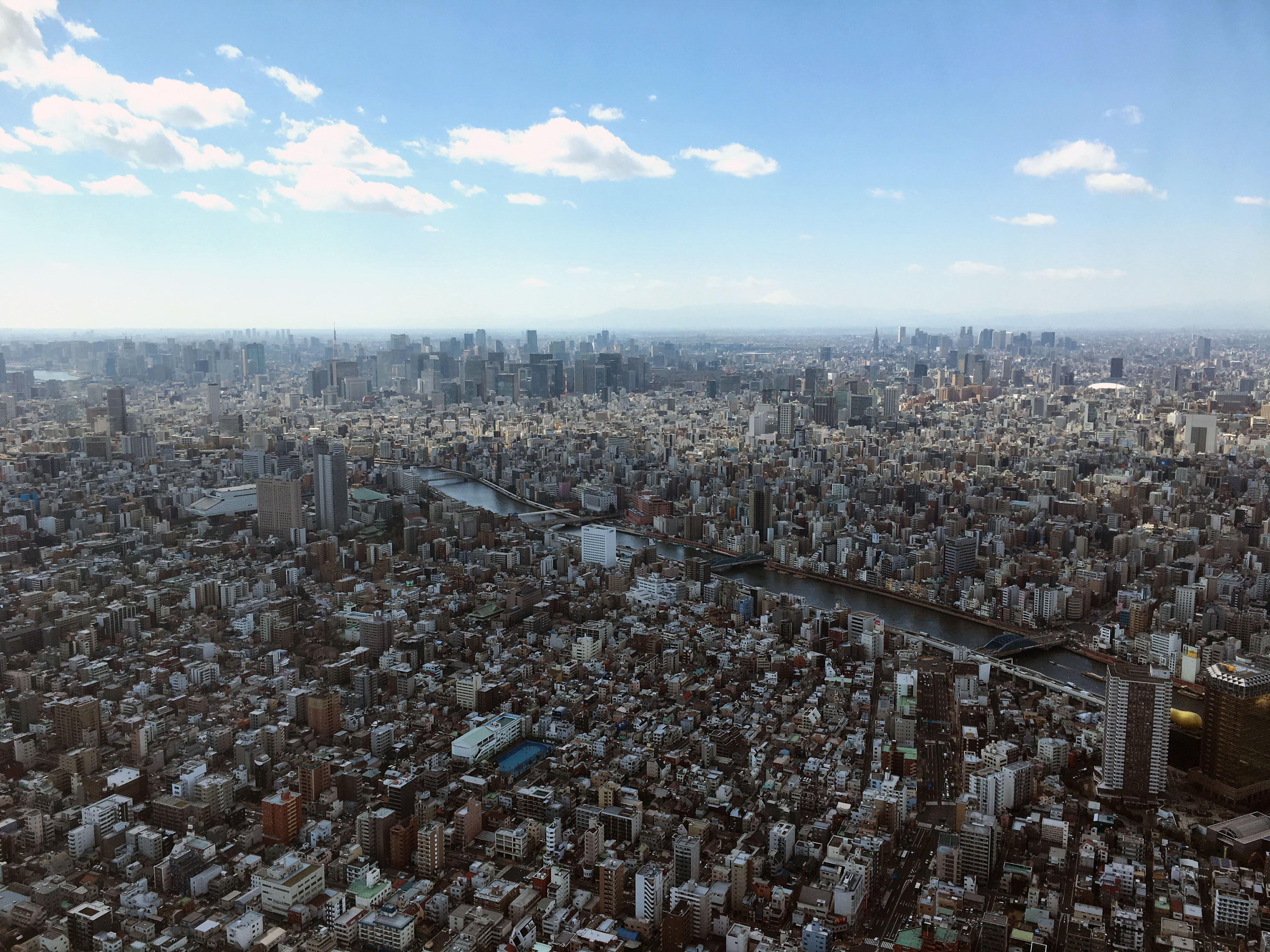 Tokyo's landscape