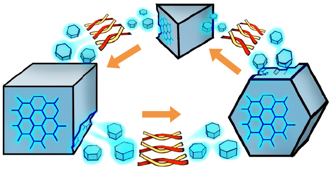 Smart morphing of Robo-Matter.