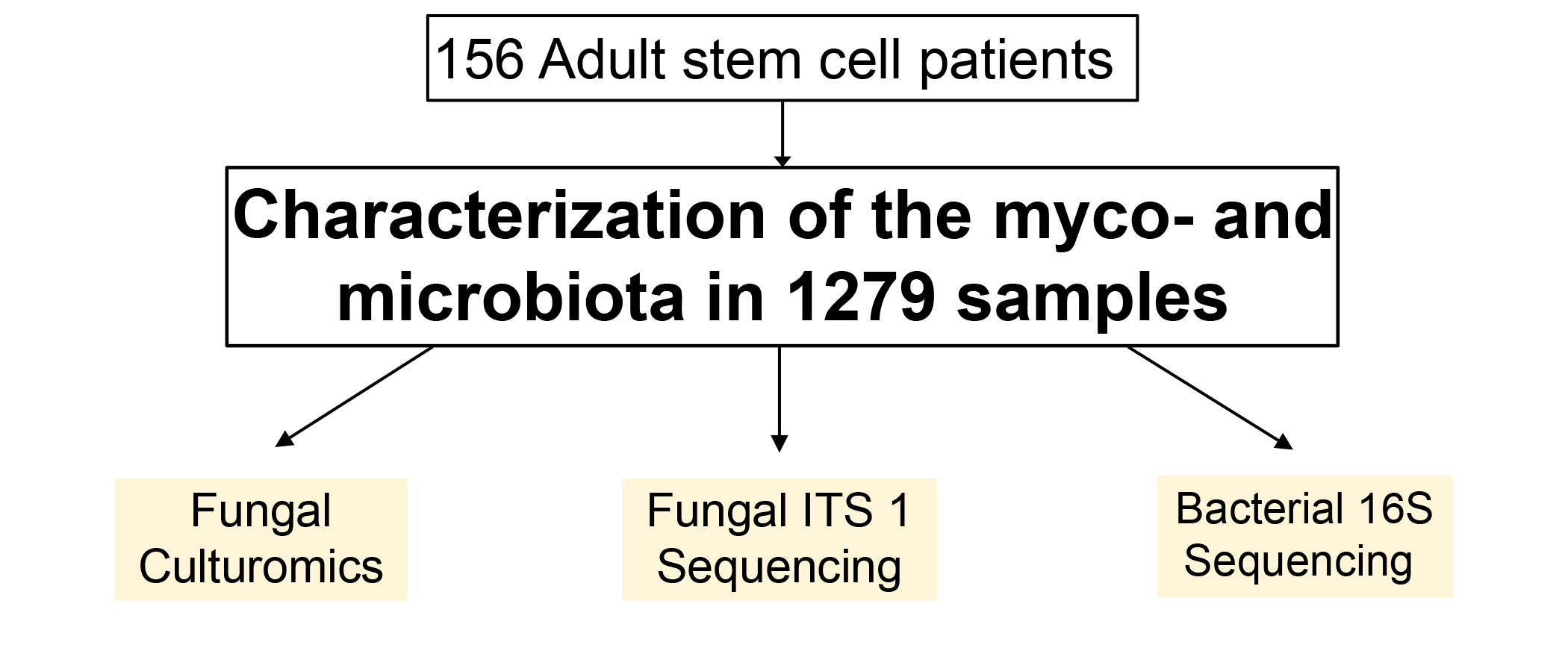 Overview of the study