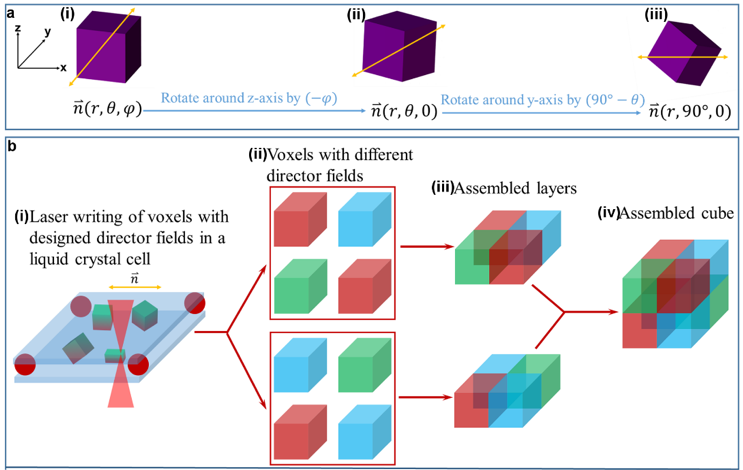 Schematic of the fabrication process