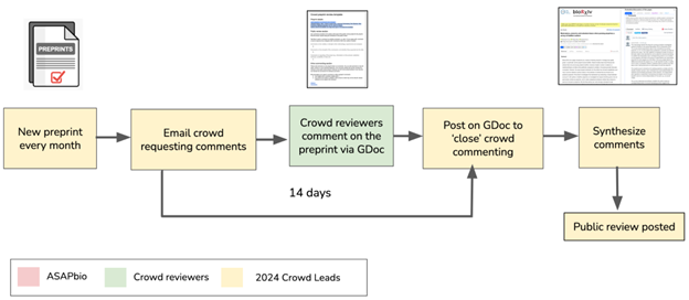Diagram representing the Crowd Preprint Review process.