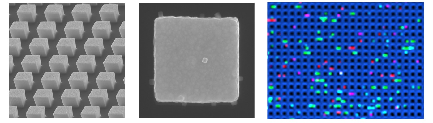 Electron microscopy image of a small section of the nanopillar array (left) and magnified image (middle) of a nanopillar with captured single cytokine molecule and labelled with a plasmonic nanobox (middle). False-colour SERS image showing the cytokine profile of a melanoma patient with severe irAEs. Each of the four colours represents a different cytokine (red = FGF2; green = G-CSF; purple = GM-CSF; turquoise = CX3CL1).