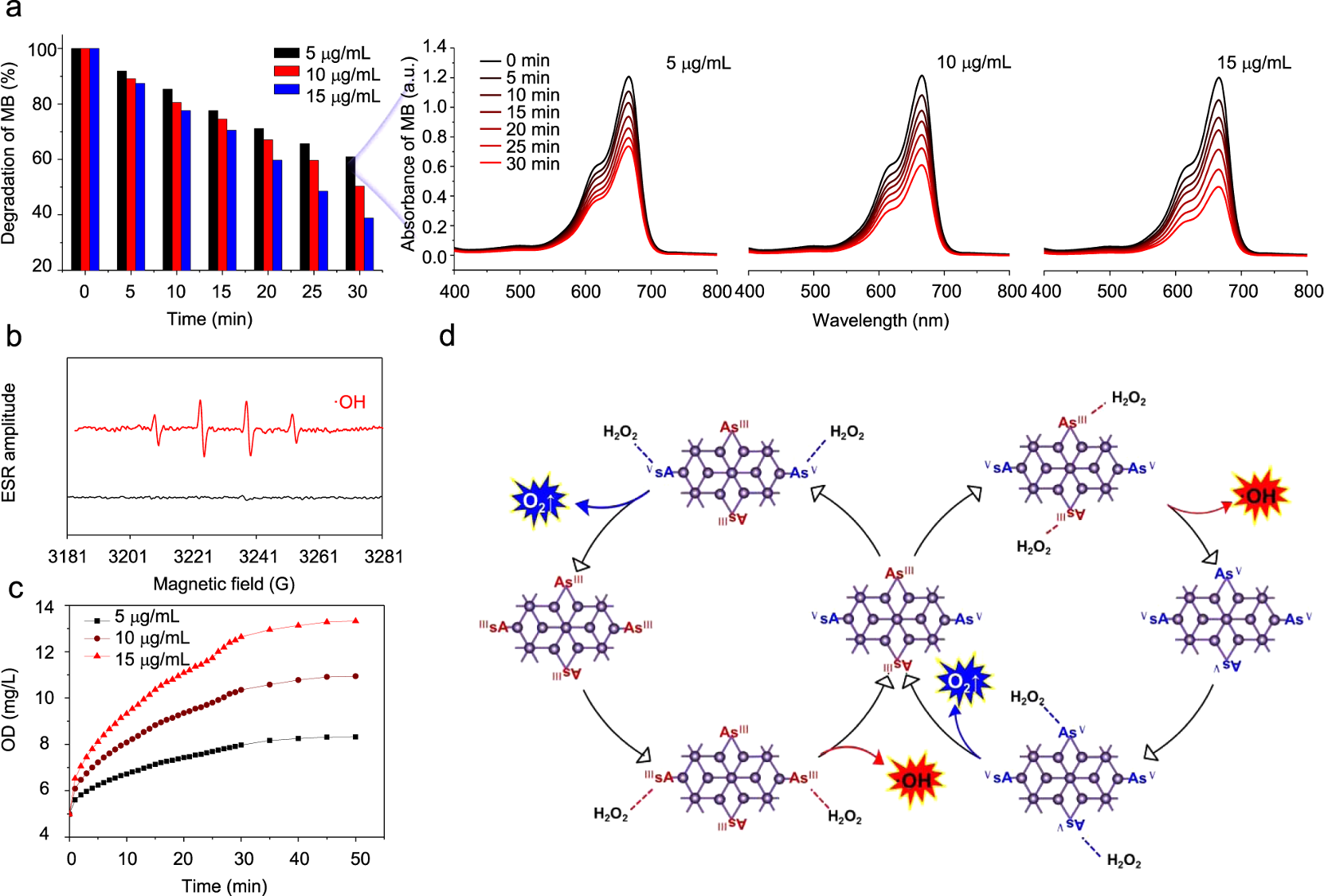 Fig. 4: Fenton-like reaction-catalyzed ability of As/AsxOy NSs.