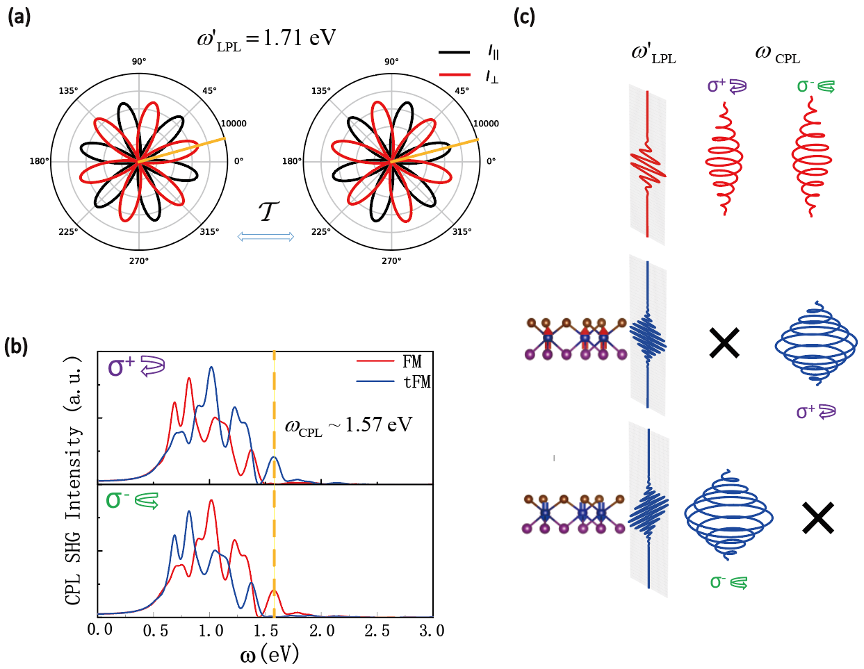 The giant NLMO effects in representative magnet