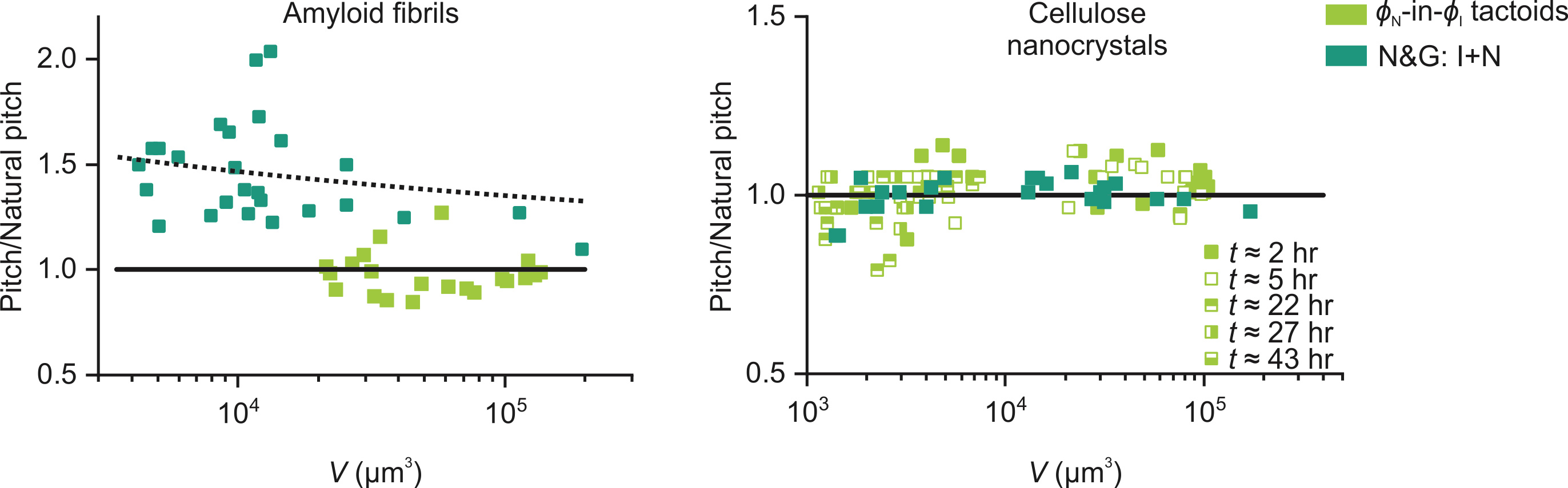 Figure 2. Evolution of the characteristic pitch of cholesteric tactoids with their volume in the case of amyloid (left) and sulphated cellulose nanocrystals (right). 