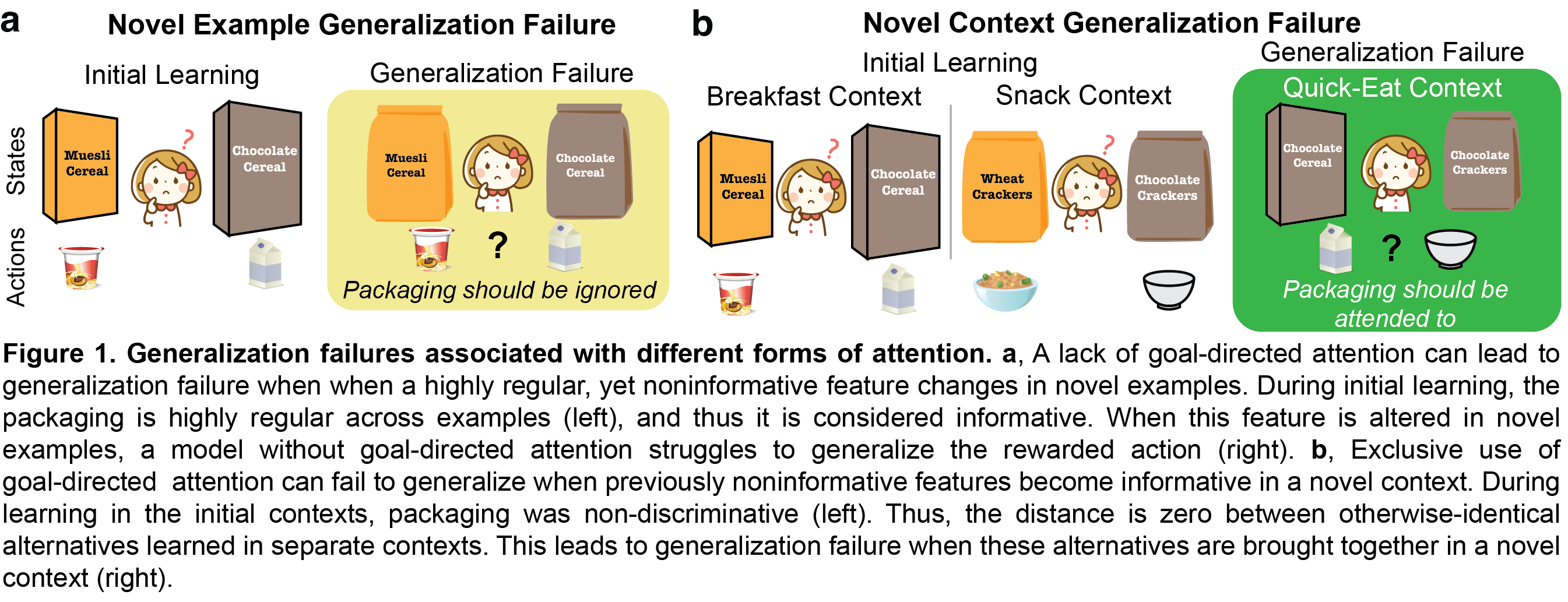 Generalization failures associated with different forms of attention