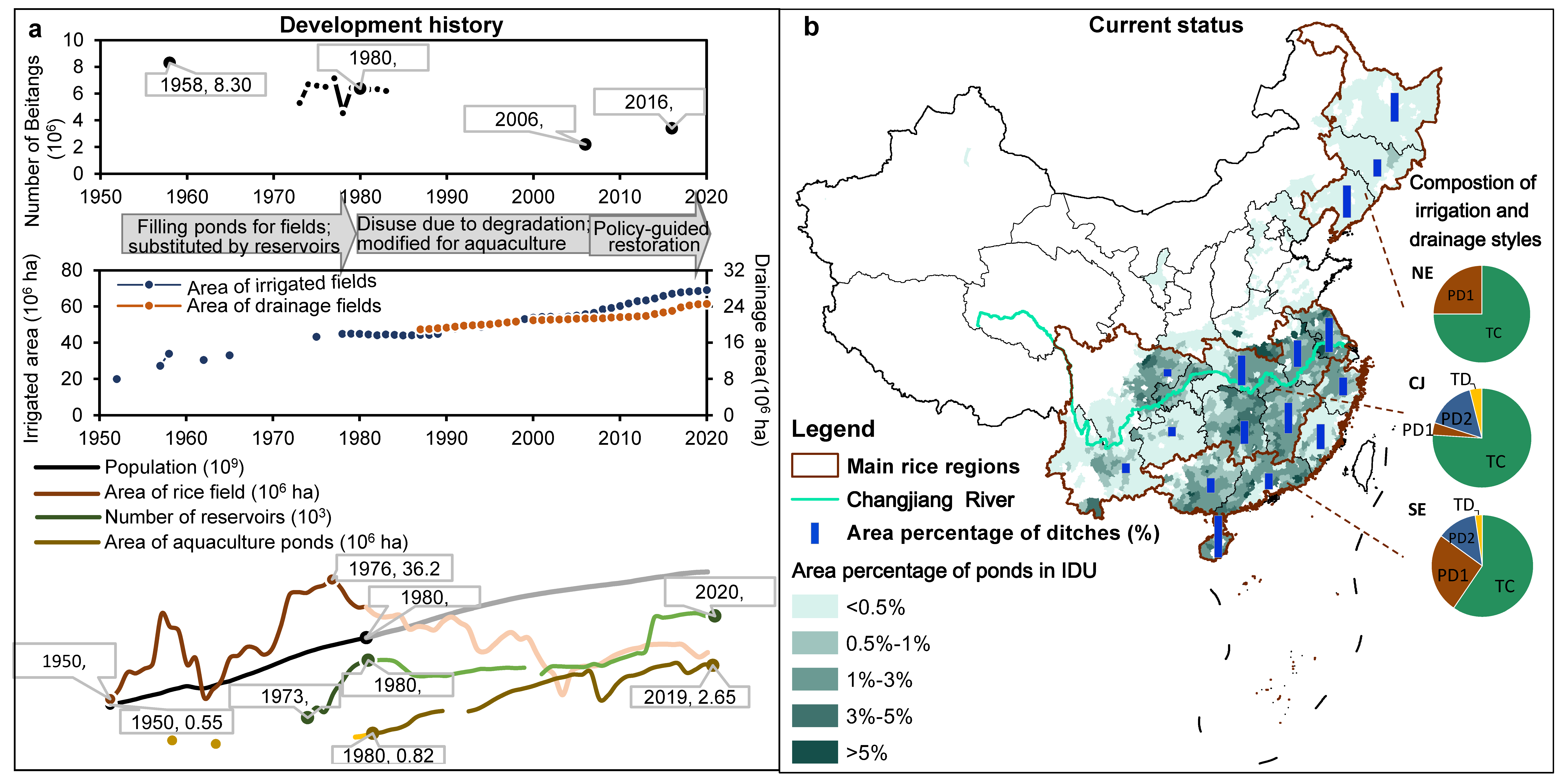 Development history and current status of irrigation and drainage systems in rice-growing regions of China. (a) Abandoned traditional pond based Beitang system and its driving factors. (b) Small water bodies (ditches and ponds) existed and utilized in current rice irrigation drainage systems.