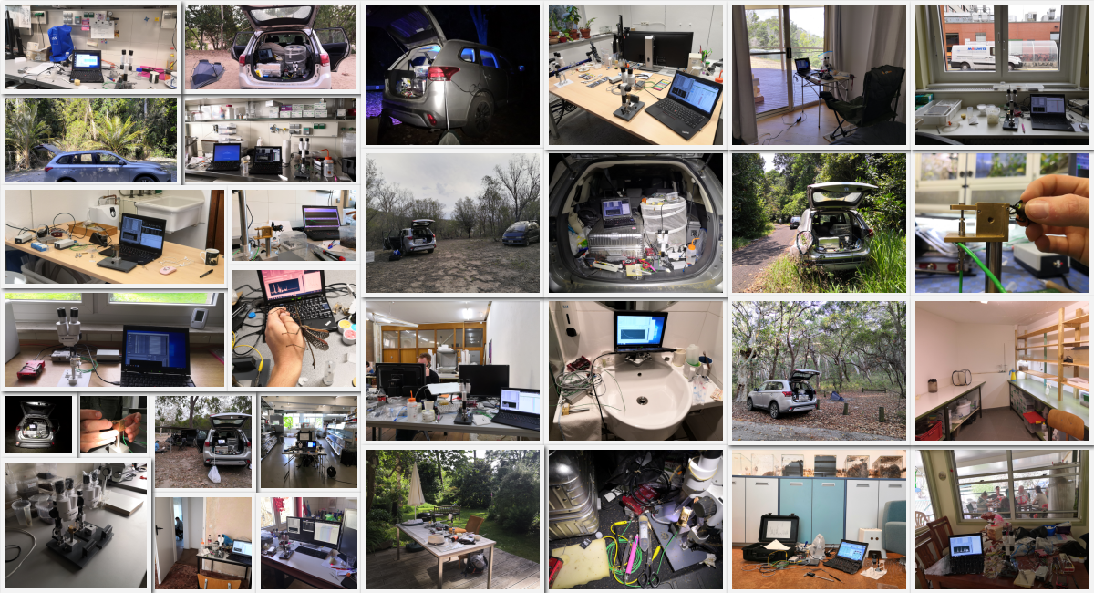 A few of the many sites I measured insect bite forces.