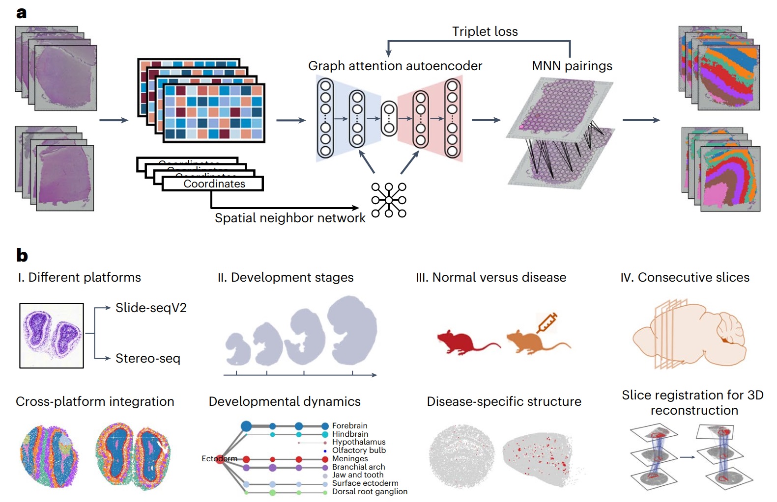 Figure 1. Overview of STAligner.