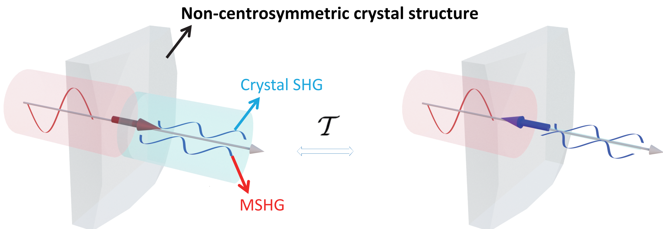 Concept of NLMO effects.