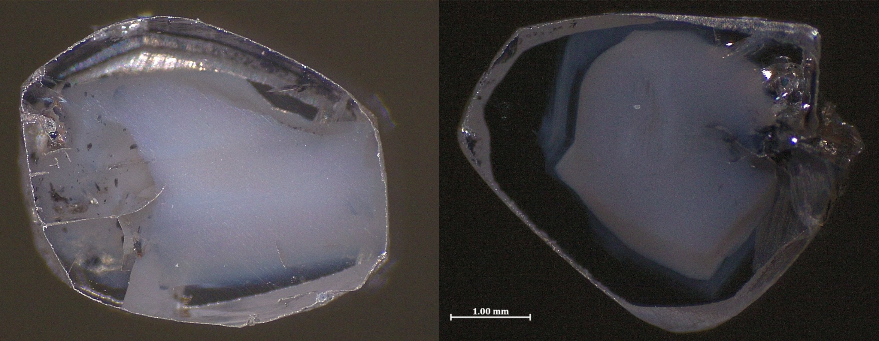 Figure 1: Polished sections from the center of the two studied diamonds from Voorspoed, South Africa. Clouds of micro- and nanoinclusions are visible, along with larger mineral inclusions in the clearer region surrounding the cloud (left). The inclusions in the cloud contain both Ni-rich metallic and Ni-rich carbonate phases, a surprising coexistence that reflects dynamic redox conditions in the deep mantle. Scale bar = 1mm for both diamonds (Image credit: Yael Kempe and Yaakov Weiss).