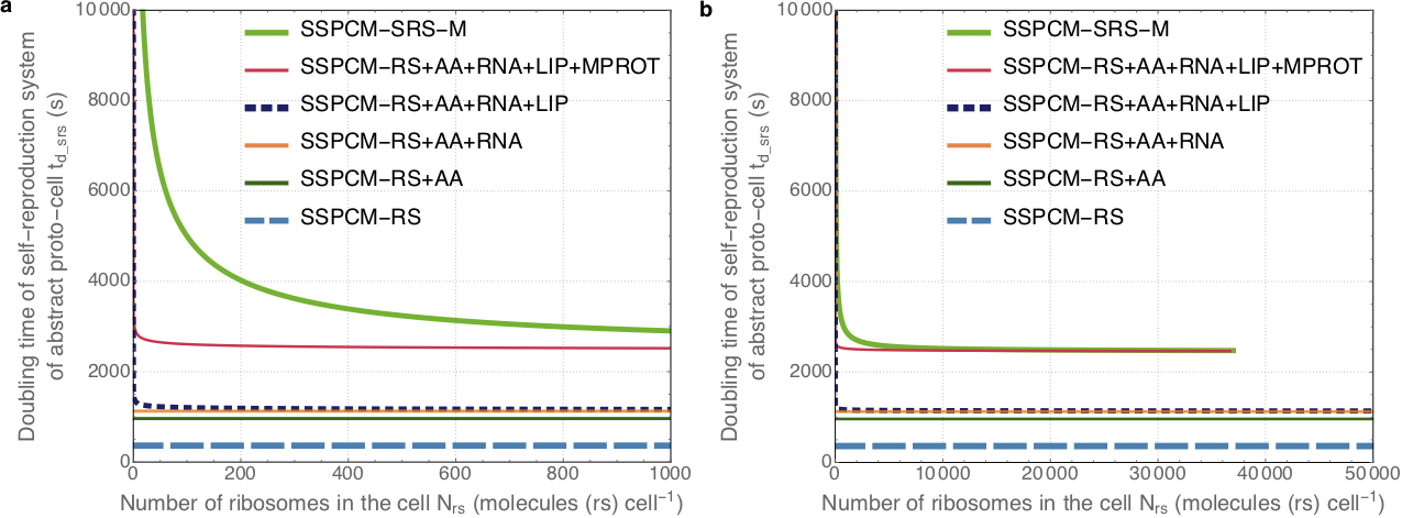 Plots that show how the doubling time of proto-cells depends on their number of ribosomes. For some of the simpler proto-cells, the doubling time is constant regardless of the number of ribosomes. For more complex proto-cells that include components such as membrane and DNA, the doubling time is almost constant for larger numbers of ribosomes, but increases rapidly when the number of ribosomes gets very small. The doubling times of more complex proto-cells are larger than of the simpler proto-cells.