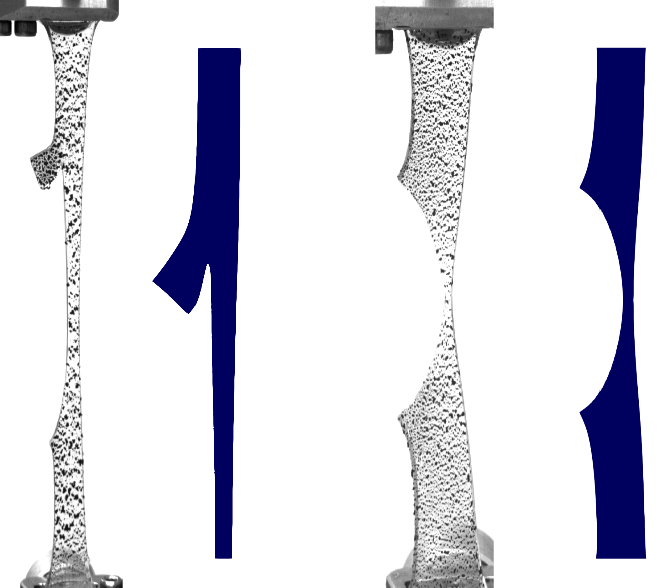 A crack running longitudinally to the tensile direction (left) and a crack running transversely to the tensile direction (right). The result of the simulation is shown in blue, that of the experiment in white. In longitudinal cracks, the material is not severed. A specific degree of cross-linking between the polymer molecules is necessary for this behaviour to occur (and thus for the material to have increased stability).