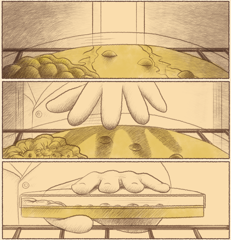 Illustration showing a close up of a hand picking up an agar plate.