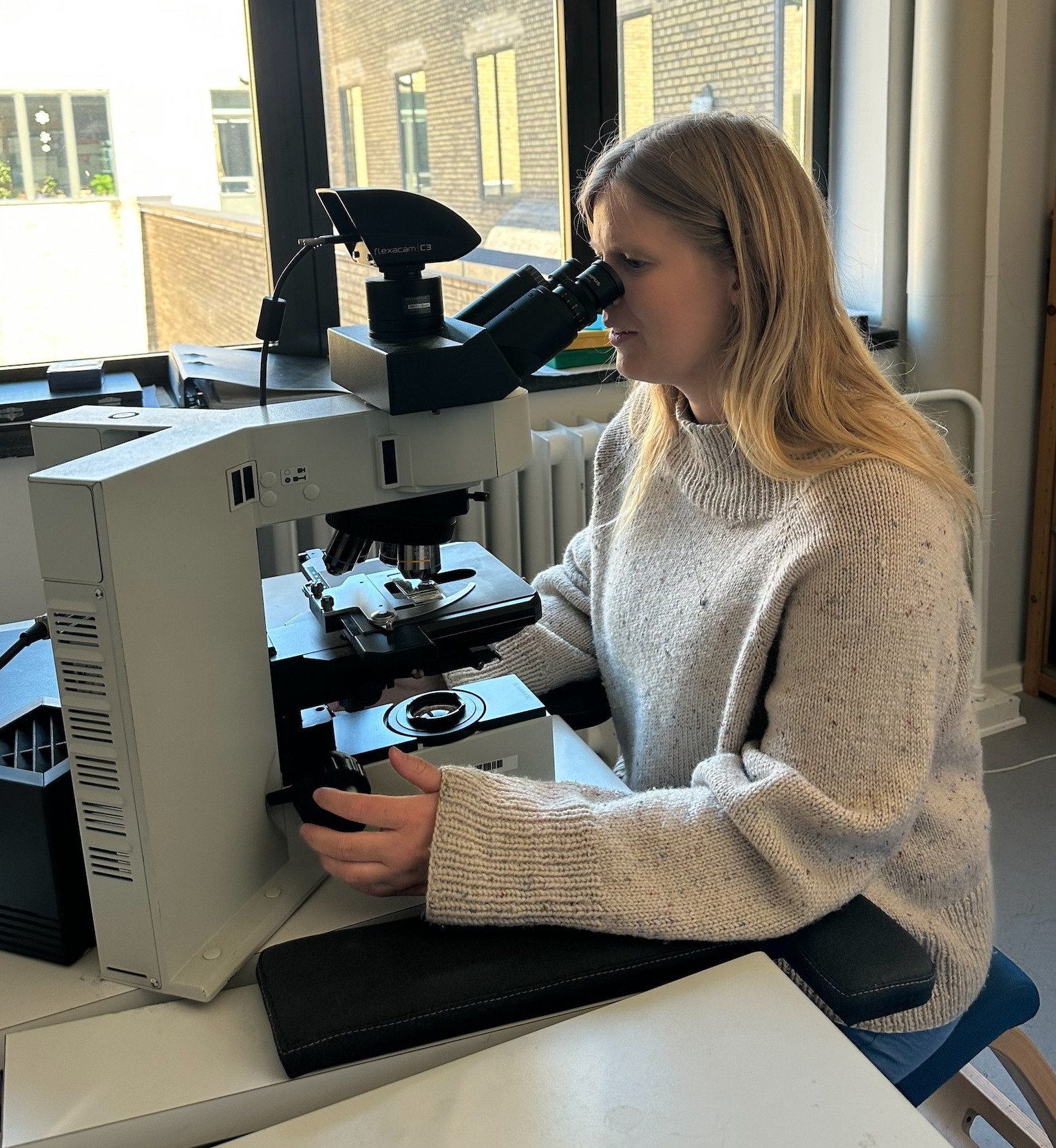 Anna Bang Kvorning at the microscope, identifying and counting dinoflagellate cysts 