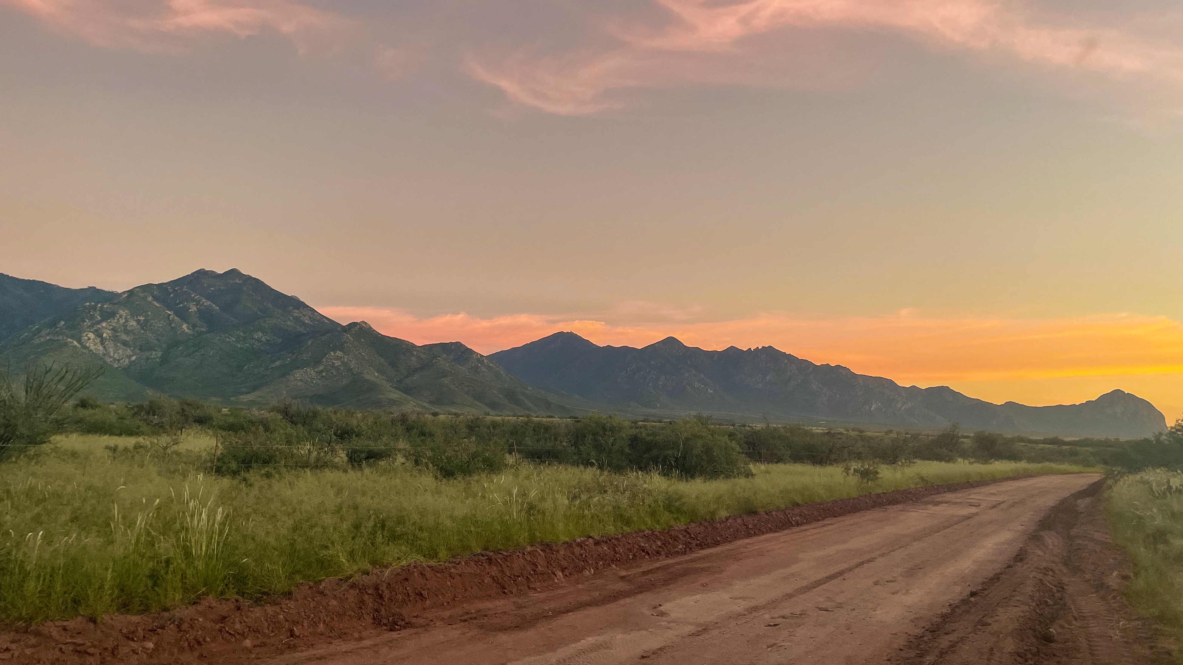 Landscape of Santa Rita Experimental Range