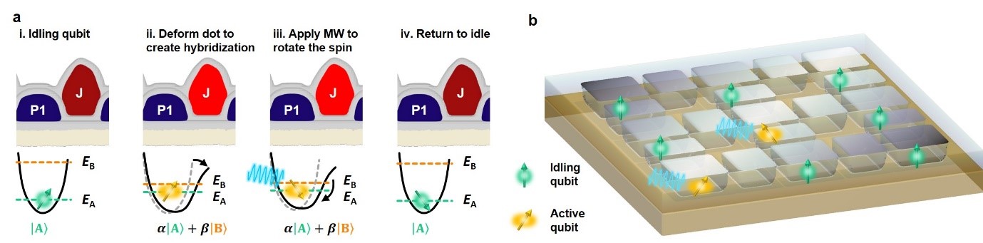 Tuning of the fast resonance, large scale QC based on it