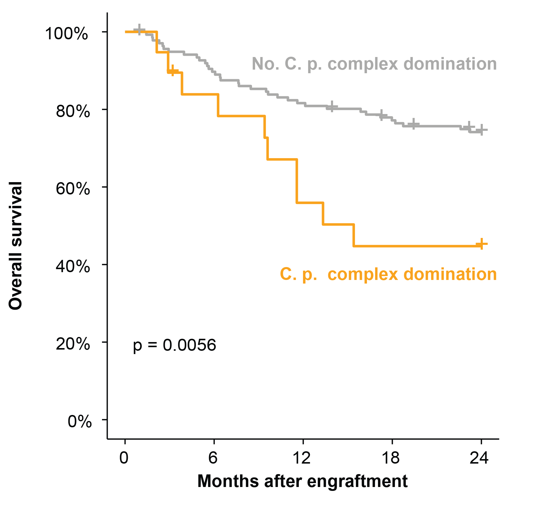 Overall survival by C. parapsilosis status