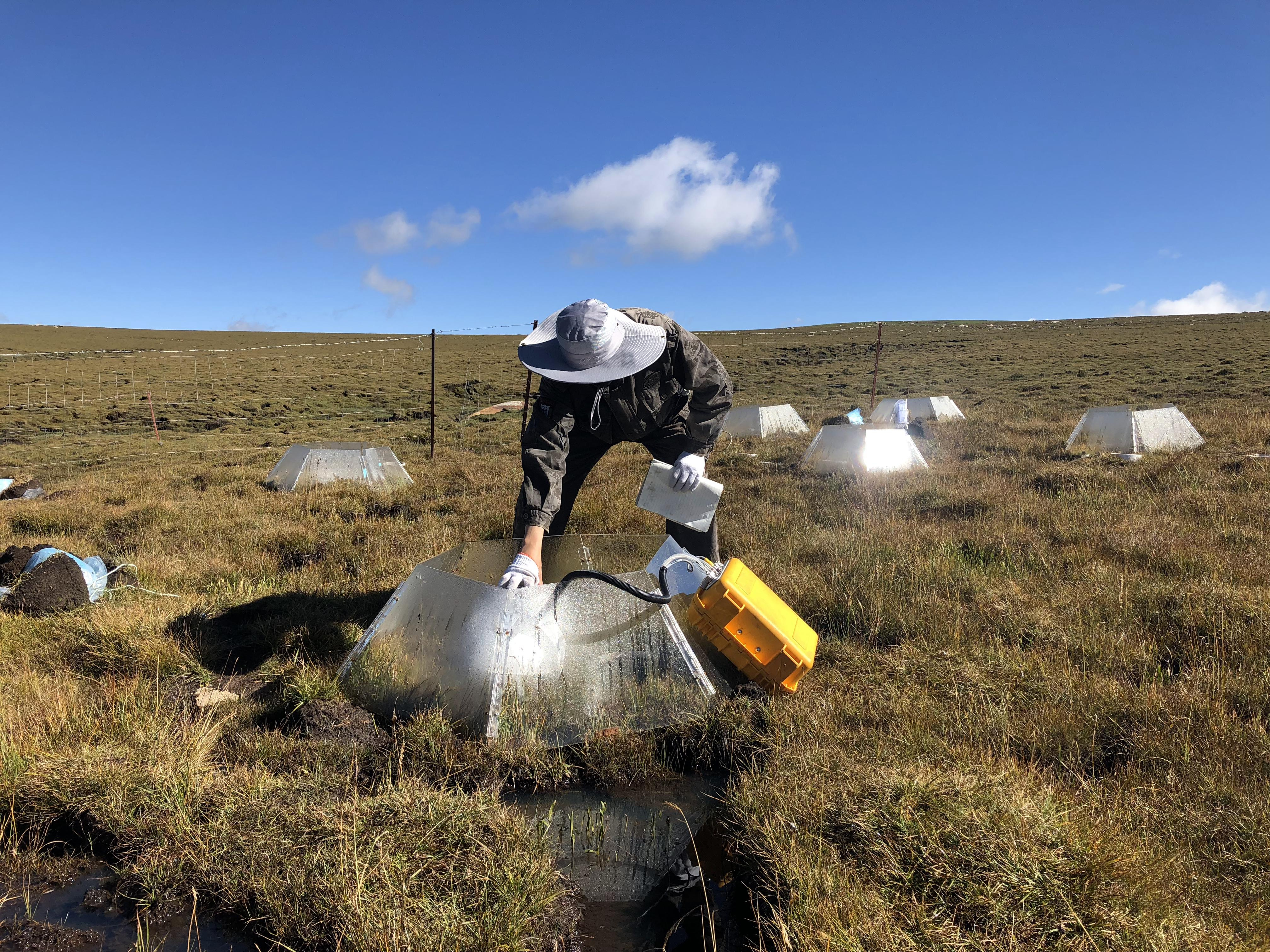 In-situ soil CO2 flux measurement. Photograph is taken by Bin Wei.