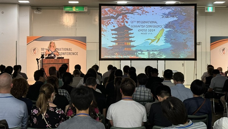 Photo from the audience of a woman presenting by projected slides.