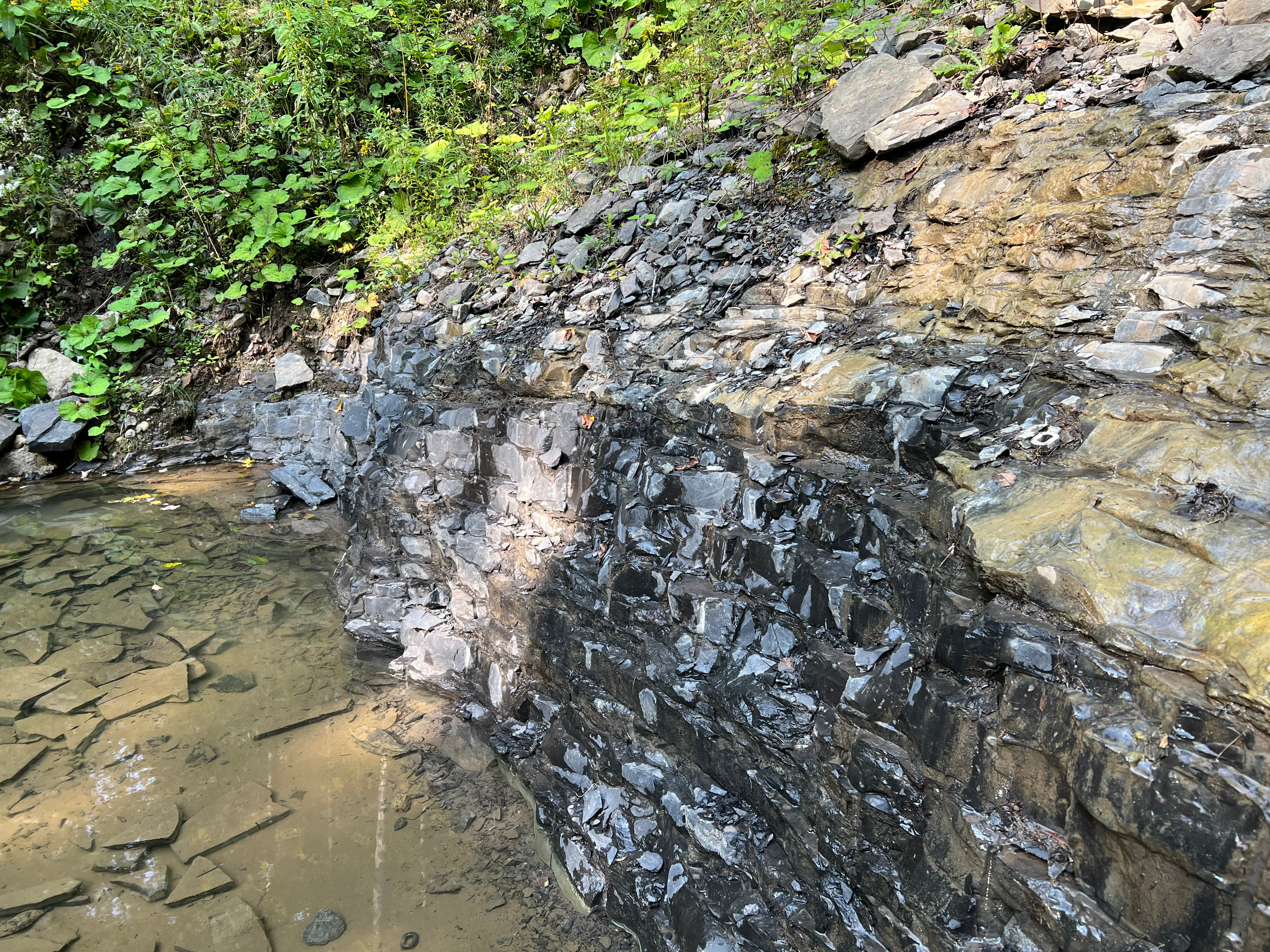 Figure 2. The Walcott-Rust Quarry in upstate New York. Photo credit: Sarah R. Losso. 
