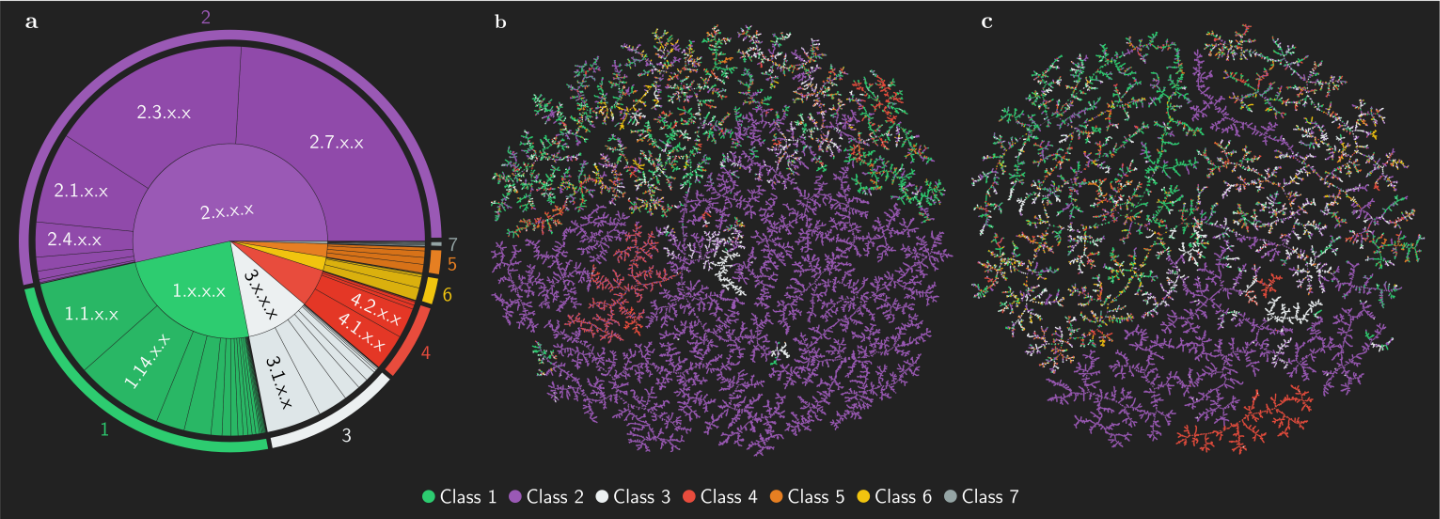 Composition of the ECREACT Data Set