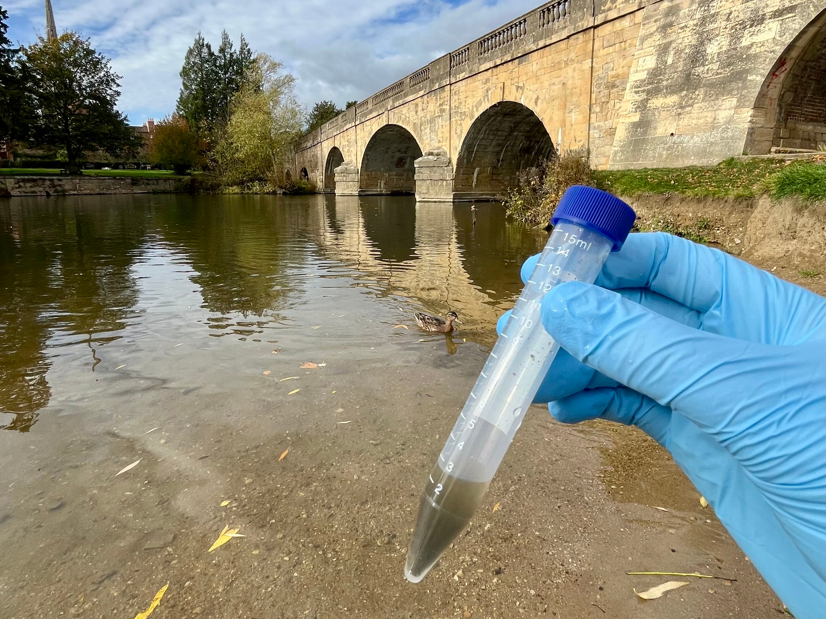 River biofilm sampling